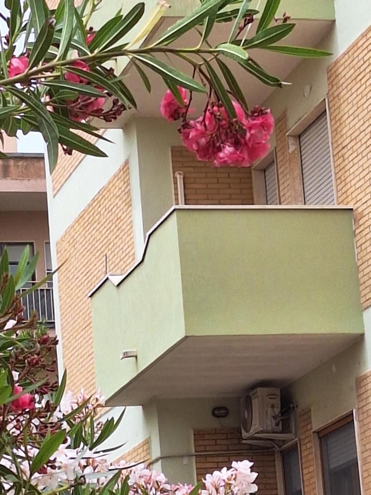A Casa Da Pina Hotel ปอร์โตตอร์เรส ภายนอก รูปภาพ